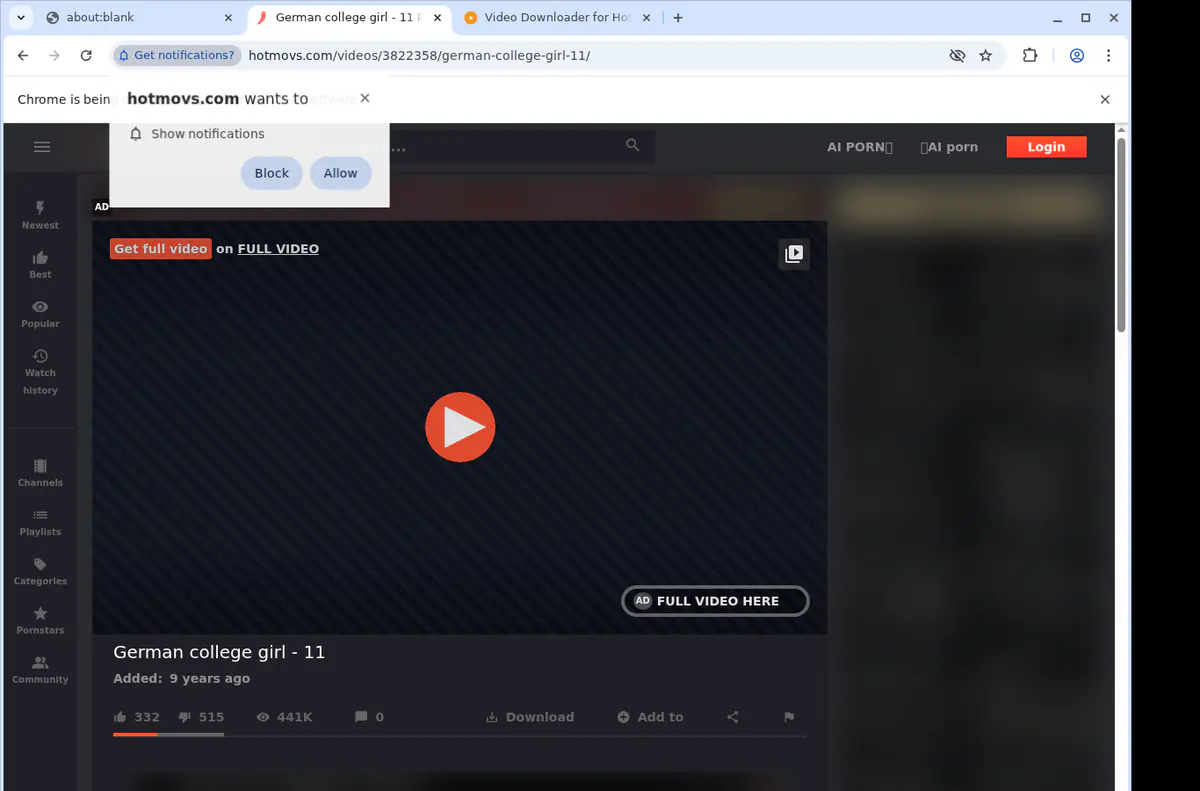 HotMovs Video Downloader browser extension screenshot 2