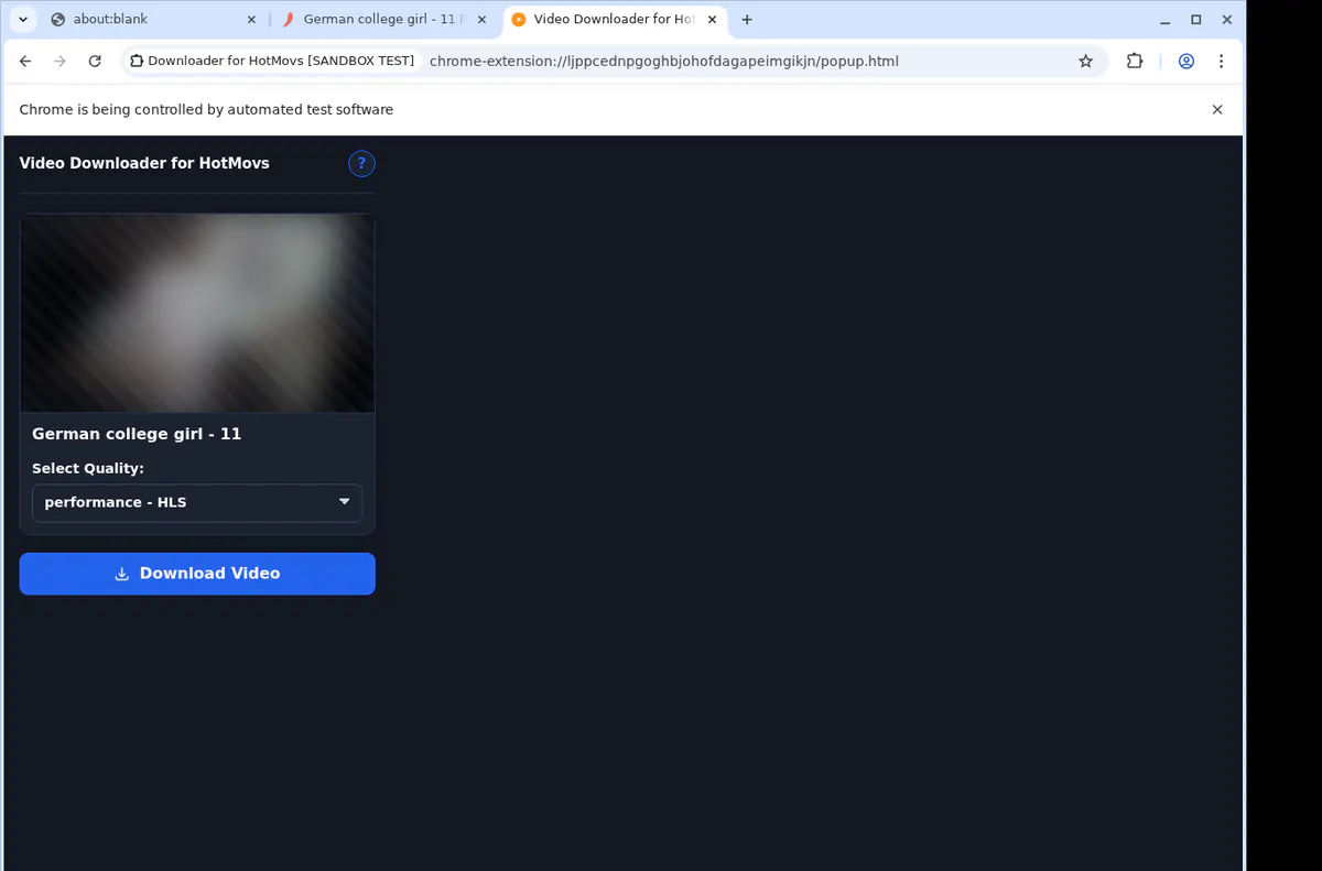 HotMovs Video Downloader browser extension screenshot 4
